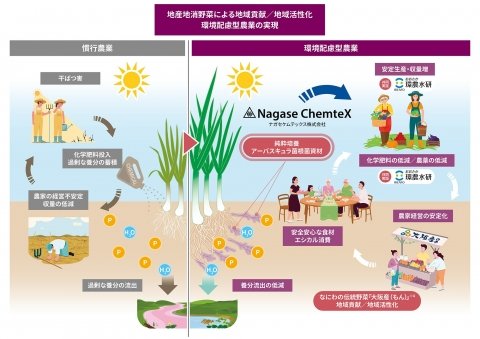 ナガセケムテックスと⼤阪環農⽔研、微生物農業資材を用いた「難波葱」の減肥料栽培で共同研究開始