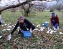 外国人客が殺到するファームステイの秘密とは？──中込農園（山梨県南アルプス市）