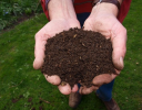 植物性堆肥とは？種類別の作り方・効果・使い方総まとめ【AGRI PICK連携企画】