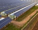 農業における「ソーラーシェアリング」とは 農業・エネルギー双方の課題解決のための期待