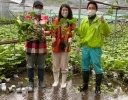 高級食材の内部障害を判別して商品価値アップ 放射線技師が挑む光センサーでのわさび解析技術とは