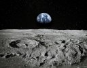 TOWINGと大林組、宇宙農業の実現に向けた実証実験に成功