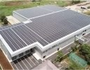 静岡県沼津市に、世界初となるほうれん草の次世代型植物工場が建設