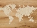 日本のコメ生産者だけが知らない、海外の日本産米マーケットの現実【田牧一郎の「世界と日本のコメ事情」vol.21】
