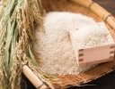 日本と異なる輸出商品の決まりごと【田牧一郎の「世界と日本のコメ事情」vol.29】