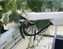 AGRIST、埼玉県の農場にきゅうり収穫ロボットを導入