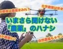 いまさら聞けない「農薬」のハナシ。クスリだけじゃないの？ 人体・環境への影響ってどれくらい