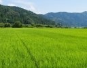 2025年の日本の農業はどうなる？ 「令和7年度農水概算要求」に見るスマート農業の役割
