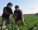 AIで病害虫発生を予測するアプリ「TENRYO」がJA豊橋に導入