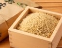 玄米をおいしく長持ちさせるための保管方法は？