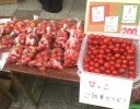 【農家コラム】初めての有機トマト栽培、販路開拓はどうやった？