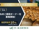 投資家向け農業事業「ノーサ」、新たに「なめこ」プランの栽培オーナーを募集開始