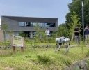 未来のスマート農業実現へ、東京農大がミライト・ワン・システムズ、日本マイクロソフトと連携