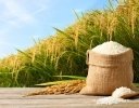 米高騰の原因と言われる「概算金」は必要悪？ 米農家・消費者それぞれの立場から考える