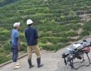 【インタビュー】 かんきつ類ドローン防除最大のメリットは“時間短縮” （早和果樹園・山中さん）