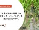 Jizoku、水不足が深刻な地域のカーボンクレジット創出を停止 収量確保を優先した栽培支援へ