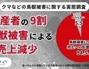 食べチョク、深刻化するクマ・イノシシなど鳥獣被害の調査結果を発表