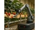 ABC、AIを活用したいちごの自動受粉・収穫ロボットの開発プロジェクトを開始