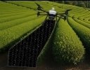 AutoCover、茶園被覆作業をドローンで自動化する技術が「スマート農業技術活用促進法」の認定を取得