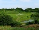 稲作の作業環境を変える「水田区画整理」 制度・補助金・地域事例を整理