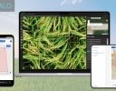 作物の撮影から解析まで内製化できる、作物画像解析AIソリューション「SWALO」提供開始