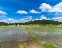 まだ間に合う！ 田植え前に再確認したい土づくり・圃場整備の4つのポイント