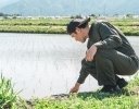 水稲の初期生育を左右する「土壌の物理性」を知ろう｜5〜6月に確認したいポイント