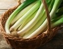 夏ネギは"スタートダッシュ"で決まる｜5〜6月に行いたい初期生育を安定させる環境づくり