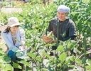 【農政ニュース】 2026年の農政トピックを理解するための考え方