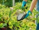 原油高が日本の農業を豊かにする？ コスト高の時代だからこそ考えたい経営課題