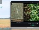 クロロス、“圃場を歩かずに見る”圃場観察システム「SWALO Eye」を提供開始