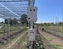 東都興業、露地果樹向けスマート防災網システム「ロジシェード」の試験販売を開始