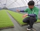 再生二期作に「早植え＋自脱型コンバイン」で挑戦！ 何俵を上乗せできたのか？  【千葉県東庄町・いなさくたかやすの事例・後編】