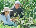 農業のスキマバイト活用は梅雨の準備がカギ！ 夏の収穫・出荷前に整えたい受け入れ方