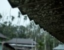 雨水は野菜栽培に使える？ pH・水質・用途から考える露地・ハウスでの雨水活用術