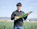 夏場のねぎ防除はドローン委託でどう変わる？ 10aあたり約10分、こと京都が語る作業負担軽減の価値 【前編】