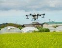夏の異常気象に備えるためのスマート農業技術 5選