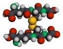 WAKUと福井大学、グルタチオンを活用したバイオスティミュラント共同研究を開始