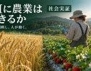 小麦といちごの営農判断をフィジカルAIで行う社会実験、ABC株式会社が実施