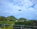農業用ドローンは「自前」より「委託」が最適解？ JA松山市が柑橘の施肥をあえて外注する理由