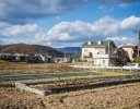 10月から始める農家の冬支度｜来春のトラブルを減らす「病害虫・施設・農機・土壌」の確認ポイント