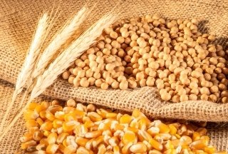 【2021年度データ】食料自給率は38％に微増 改善の鍵は小麦・大豆の国産化