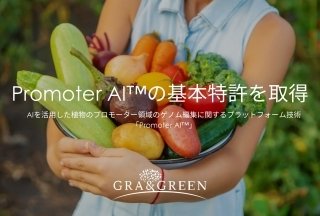 グランドグリーン、植物のゲノム編集に関する新技術「Promoter AI™」の基本特許を取得