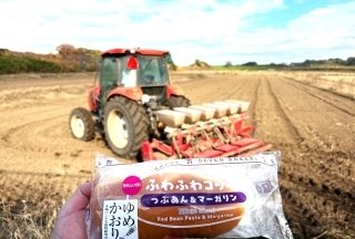 茨城パン小麦栽培研究会の国産小麦「ゆめかおり」がセブンイレブンに採用された理由【特集：日本の米・麦・大豆の行方 第4回】