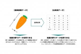 スマートフードチェーンプラットフォーム「ukabis」に「選果機API」が追加