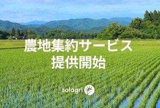 東大発の農業スタートアップ、AIを活用した「農地集約サービス」開始