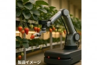 ABC、AIを活用したいちごの自動受粉・収穫ロボットの開発プロジェクトを開始