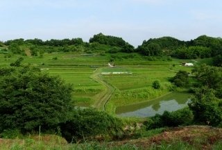 稲作の作業環境を変える「水田区画整理」 制度・補助金・地域事例を整理