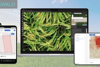 作物の撮影から解析まで内製化できる、作物画像解析AIソリューション「SWALO」提供開始