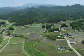LAND INSIGHT、衛星データ×AIを用いた中山間地域の農地維持支援を栃木県で開始